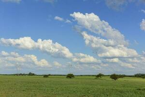 verão paisagem, pampas, Patagônia, Argentina foto