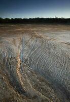 semi deserto meio Ambiente paisagem, la pampa província, Patagônia, Argentina. foto