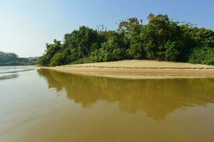 pantanal floresta ecossistema, mato grosso, Brasil foto