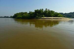 pantanal floresta ecossistema, mato grosso, Brasil foto