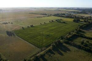 Argentina campo , aéreo visualizar, la pampa província, Patagônia, Argentina. foto