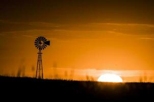 moinho de vento dentro campo às pôr do sol, pampas, Patagônia, Argentina. foto