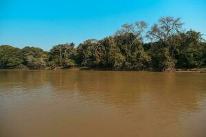 rio panorama e selva, pantanal, Brasil foto