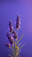 lavanda roxa flor borrado fundo. ai gerado foto