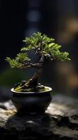 bonsai verde árvore papel de parede fundo. ai gerado foto