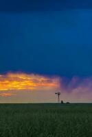 pampas moinho de vento panorama às pôr do sol tempestade, la pampa província, Argentina foto