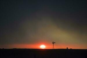 pampas árvore panorama às pôr do sol, la pampa província, Argentina foto