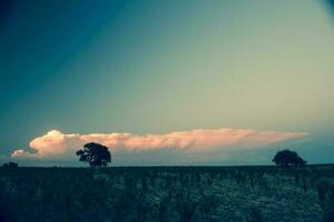 tempestade chuva dentro rural paisagem, la pampa província, Patagônia, Argentina. foto