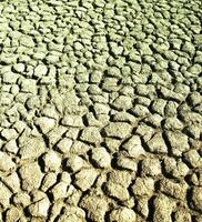 quebrado solo dentro pampas meio Ambiente , Patagônia, Argentina. foto