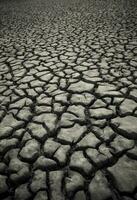 seco solo dentro pampas meio Ambiente , Patagônia, Argentina. foto