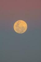 nascer da lua , cheio lua dentro a céu, Patagônia, Argentina foto