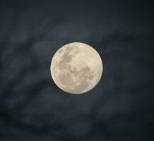 lua dentro a noite céu , fundo foto