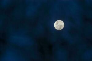 lua dentro a noite céu , fundo foto