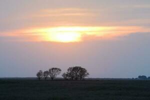 pampas pôr do sol paisagem, la pampa, Argentina foto