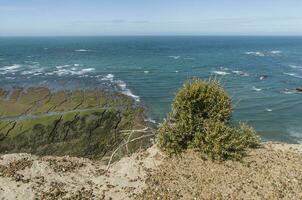 costeiro panorama com falésias dentro patagônia Argentina foto