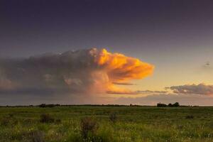 tormentoso céu às pôr do sol dentro a pampas campo, la pampa, Argentina. foto