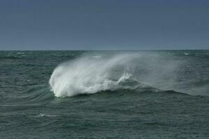 ondas dentro a oceano, patagônia foto