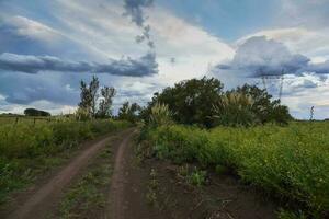 tormentoso céu vencimento para chuva dentro a Argentino interior, la pampa província, Patagônia, Argentina. foto