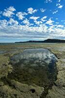 costeiro panorama com falésias dentro Península valdes, mundo herança site, patagônia Argentina foto