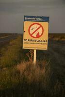 rota placa dentro Península valdes, chubut província, Patagônia, Argentina. foto