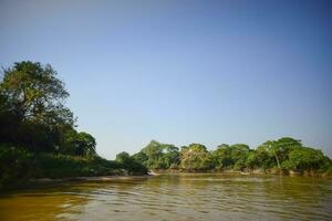 rio panorama e selva, pantanal, Brasil foto