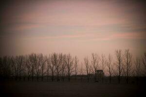 panorama com moinho de vento às pôr do sol, pampas, Patagônia, Argentina foto