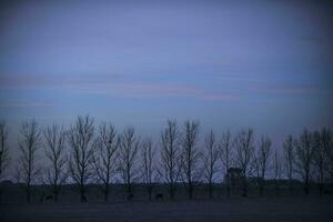 panorama com moinho de vento às pôr do sol, pampas, Patagônia, Argentina foto