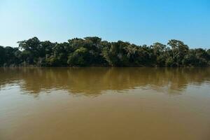 rio panorama e selva, pantanal, Brasil foto