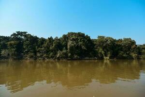 rio panorama e selva, pantanal, Brasil foto