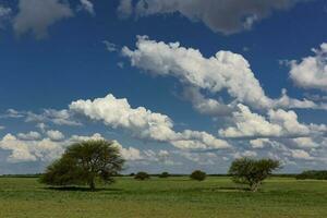 panorama com nuvens dentro la pampa, patagônia , Argentina foto