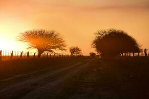 pôr do sol dentro a campo, la pampa, Argentina foto