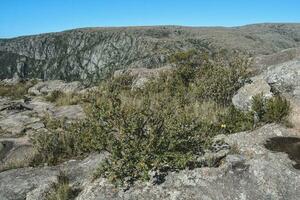 quebrada del condorito nacional parque paisagem, córdoba província, Argentina foto