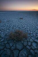 quebrado seco solo dentro uma pampas lagoa, la pampa província, Patagônia, Argentina. foto