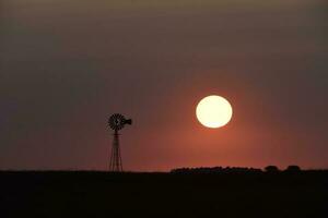 moinho de vento dentro campo às pôr do sol, pampas, Patagônia, Argentina. foto