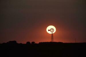 moinho de vento dentro campo às pôr do sol, pampas, Patagônia, Argentina. foto