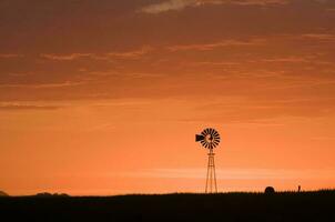 moinho de vento dentro campo às pôr do sol, pampas, Patagônia, Argentina. foto