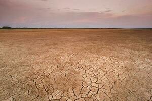 rachado terra, desertificação processo, la pampa província, Patagônia, Argentina. foto