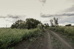 tormentoso céu vencimento para chuva dentro a Argentino interior, la pampa província, Patagônia, Argentina. foto