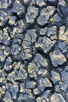 rachado terra padronizar dentro a deserto, la pampa, Argentina foto