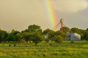 Fazenda panorama dentro pampas campo com arco Iris , la pampa província, Patagônia, Argentina. foto