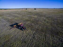 trator y maquinaria agricola , sembrando, la pampa, Argentina foto