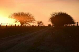 rural pôr do sol paisagem, Buenos aires província , Argentina foto