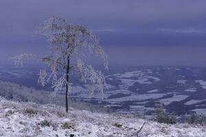 vista para a montanha da paisagem de inverno foto