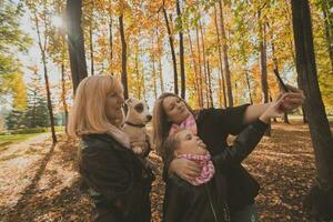 três gerações do mulheres e cachorro sentir Diversão Veja às Câmera posando para auto-retrato cenário junto, engraçado animado criança, mãe e avó ter Diversão apreciar final de semana levar selfie em gadget dentro outono foto