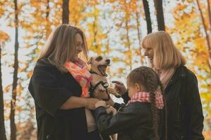 mãe e avó e filha detém jack russell terrier e tocam com isto dentro outono fora. animal e família conceito foto
