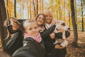 três gerações do mulheres e cachorro sentir Diversão Veja às Câmera posando para auto-retrato cenário junto, engraçado animado criança, mãe e avó ter Diversão apreciar final de semana levar selfie em gadget dentro outono foto