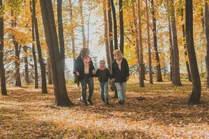 avó e mãe com neta anda em juntos dentro outono parque e tendo Diversão. geração, lazer e família conceito. foto