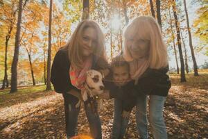 três gerações do mulheres e cachorro sentir Diversão Veja às Câmera posando para auto-retrato cenário junto, engraçado animado criança, mãe e avó ter Diversão apreciar final de semana levar selfie em gadget dentro outono foto