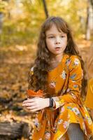 pequeno criança menina com outono laranja folhas dentro uma parque. estilo de vida, outono estação e crianças conceito. foto