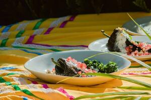 pimentões en nogada uma tradicional mexicano prato com recheado pimentas, noz molho, e fruta guarnição, enfeite, adorno. foto